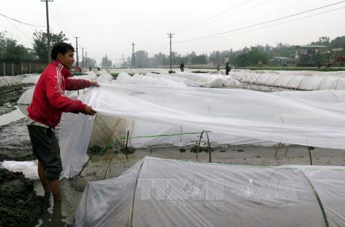 Đêm nay, miền Bắc đón đợt gió mùa đông bắc mới 